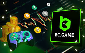Understanding BC App Verification A Comprehensive Guide -734600730 Understanding BC App Verification A Comprehensive Guide -734600730