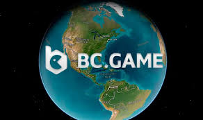 Understanding the BC App Verification Process A Comprehensive Guide -722476480